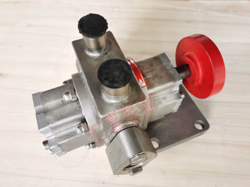 <strong>不鏽鋼外潤(rùn)滑保溫齒輪泵</strong>