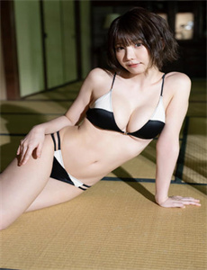 MR73左轮枪2008